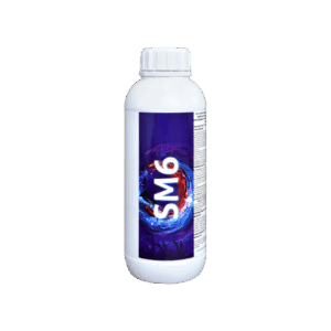 SM6