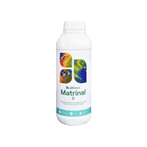 MATRINAL B